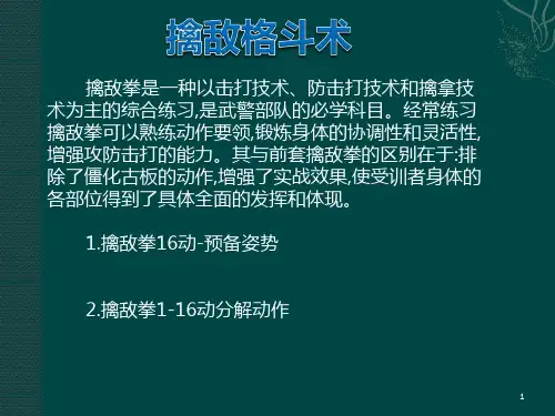 PPT擒敌拳格斗ppt课件