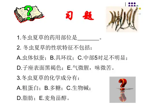 生药学课件(植物类生药1)课件PPT