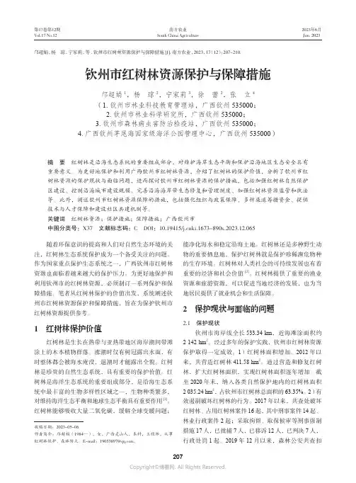 钦州市红树林资源保护与保障措施