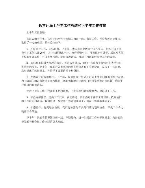 县审计局上半年工作总结和下半年工作打算