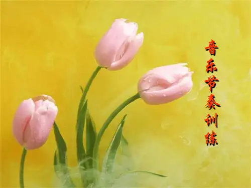 音乐节奏训练  ppt课件