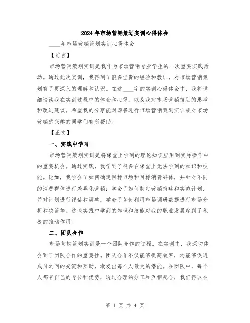 2024年市场营销策划实训心得体会