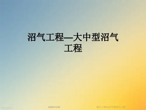沼气工程—大中型沼气工程