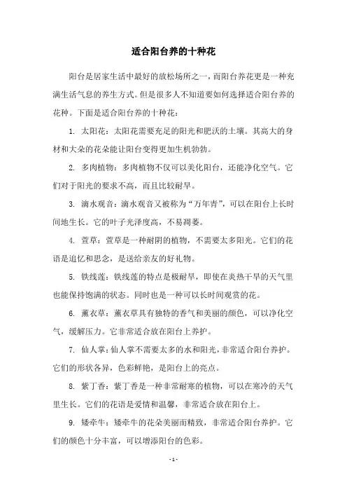 适合阳台养的十种花