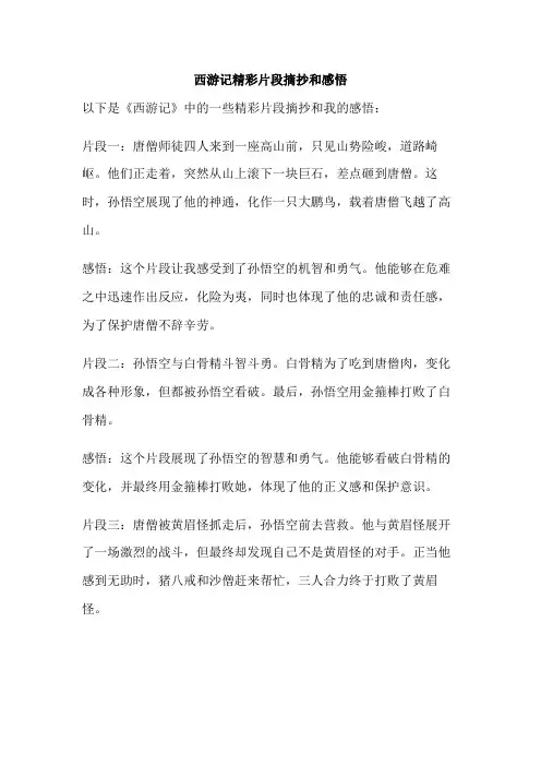 西游记精彩片段摘抄和感1