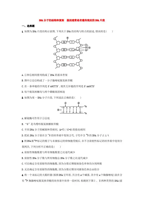 高三高考生物一轮复习课时规范练习卷DNA分子的结构和复制基因通常是有遗传效应的DNA片段