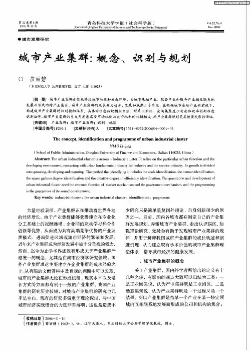 城市产业集群：概念、识别与规划