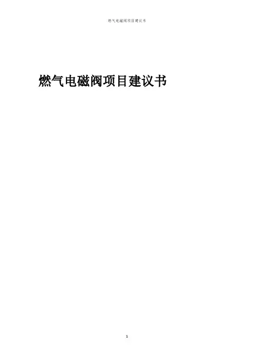 2024年燃气电磁阀项目建议书