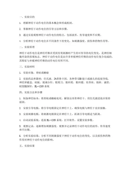 神经干电位实验报告