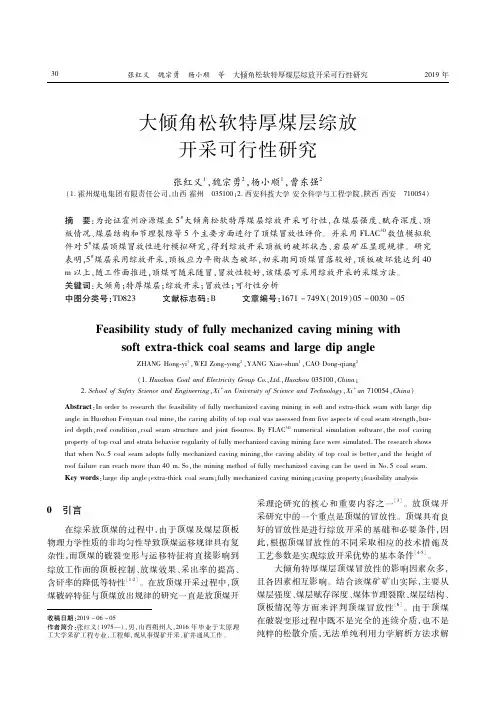 大倾角松软特厚煤层综放开采可行性研究