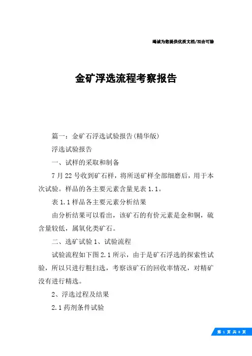 金矿浮选流程考察报告