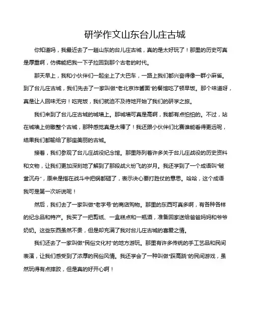 研学作文山东台儿庄古城