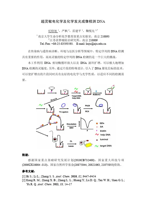 超灵敏电化学及化学发光成像检测DNA