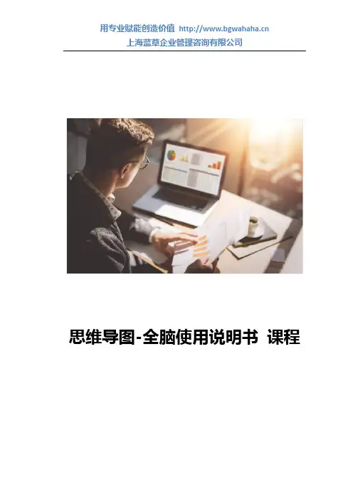 大脑使用说明书：思维导图