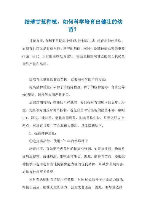 结球甘蓝种植,如何科学培育出健壮的幼苗？