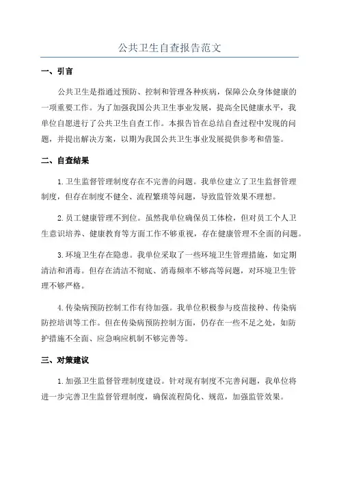 公共卫生自查报告范文