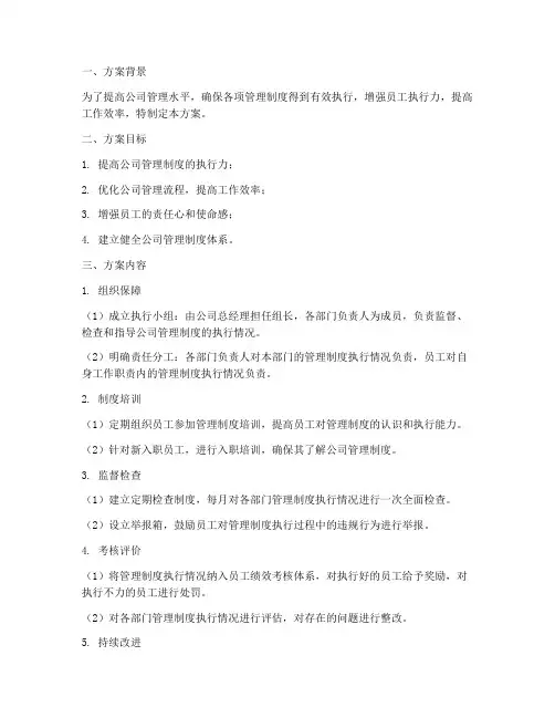 公司管理制度执行措施方案