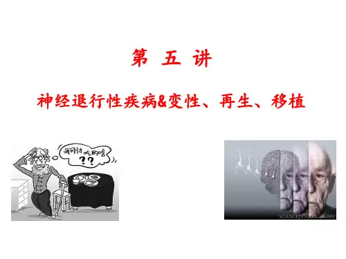 神经解剖学课件：神经退行性病变
