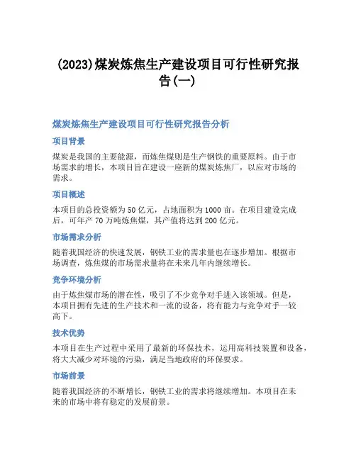 (2023)煤炭炼焦生产建设项目可行性研究报告(一)