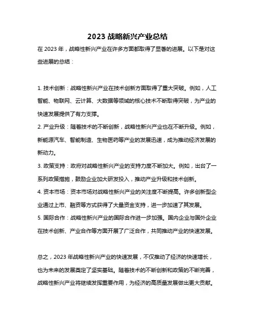 2023战略新兴产业总结