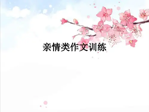 情感类作文指导精品PPT课件