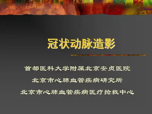 冠状动脉造影术 PPT课件