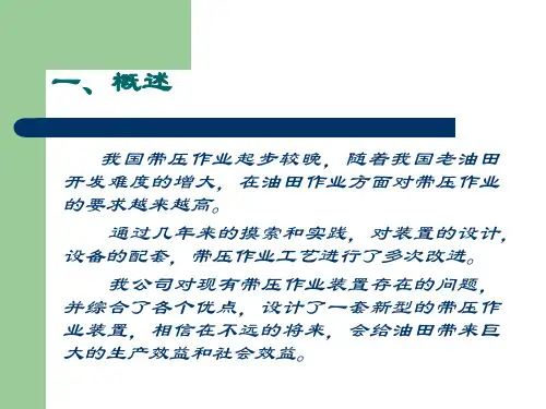 不压井作业装置ppt课件