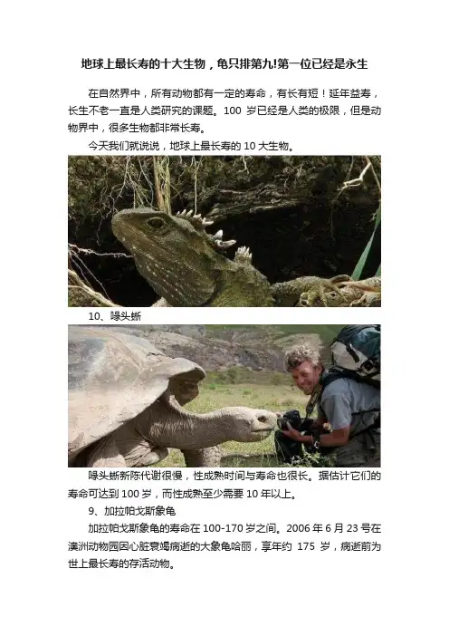 地球上最长寿的十大生物，龟只排第九!第一位已经是永生
