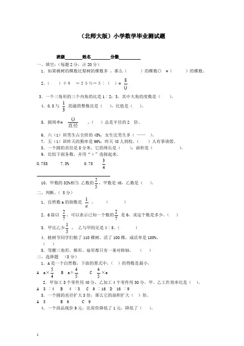 北师大版六年级 数学小学毕业测试题