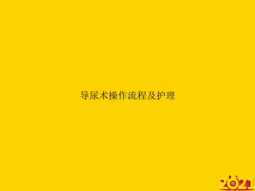 导尿术操作流程及护理ppt正式完整版