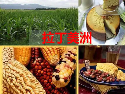 第一轮复习用拉丁美洲与巴西PPT课件