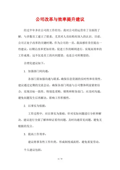 公司改革与效率提升建议