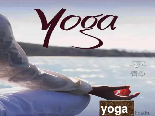 YOGA_瑜伽专题的英文简介ppt_适合班级小型演讲