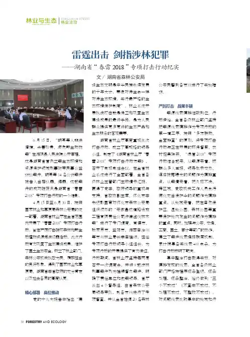 雷霆出击剑指涉林犯罪——湖南省“春雷2018”专项打击行动纪实