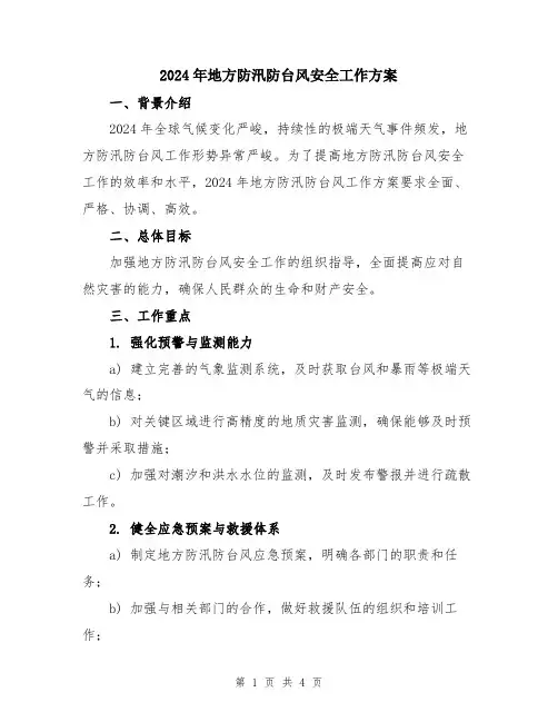 2024年地方防汛防台风安全工作方案