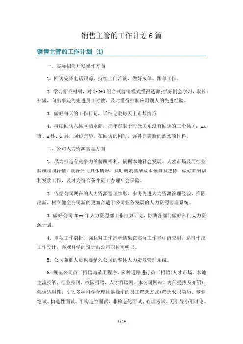 销售主管的工作计划6篇