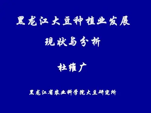 4.杜维广大豆生产