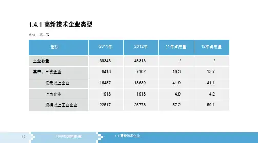 2012火炬统计手册(高新技术企业部分)