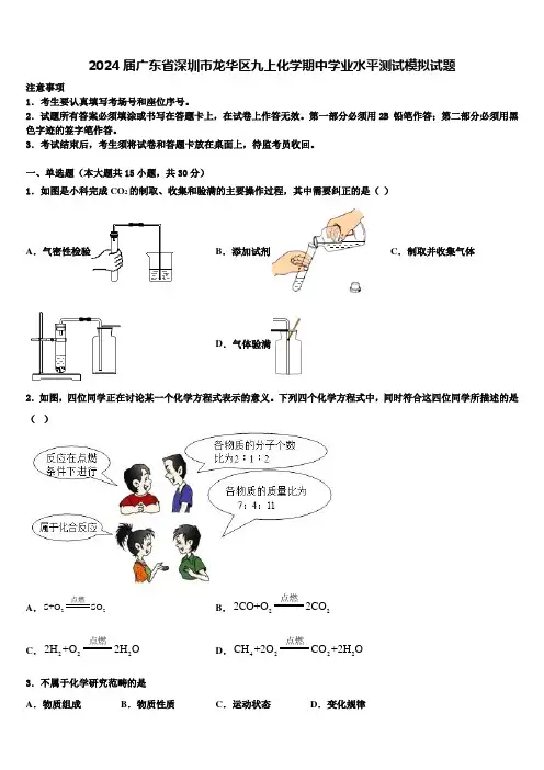2024届广东省深圳市龙华区九上化学期中学业水平测试模拟试题含解析