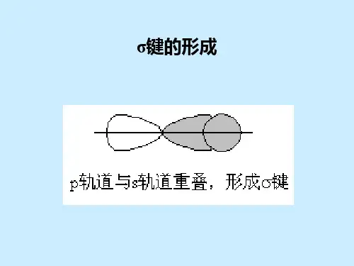 总复习-1——有机化学期末总复习课件PPT