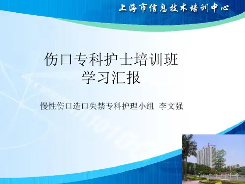 伤口专科护士培训ppt课件