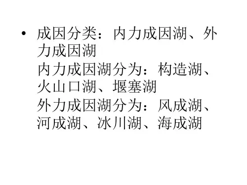 湖泊成因级分类