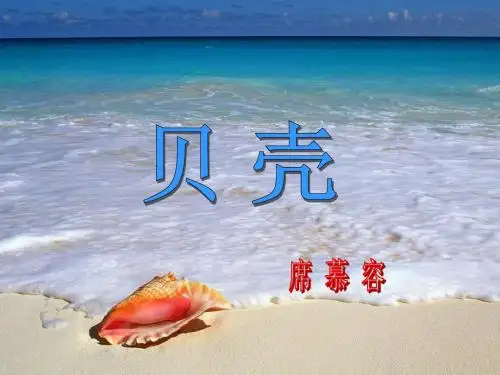 初中语文《贝壳》(共15张)ppt4