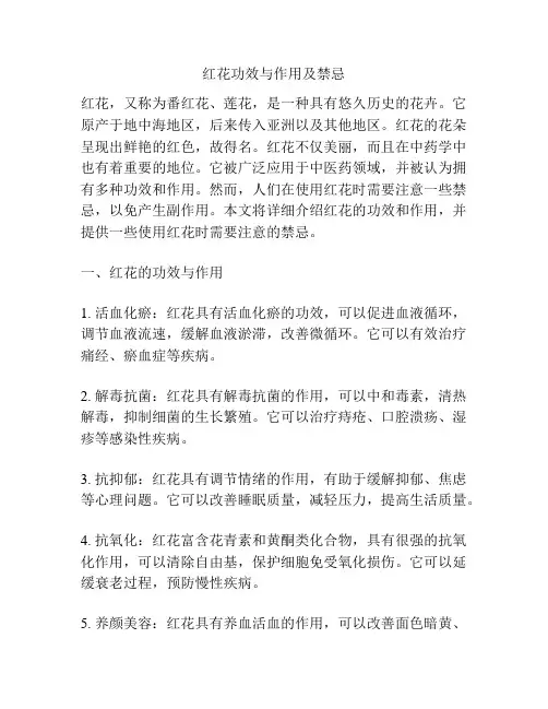 红花功效与作用及禁忌