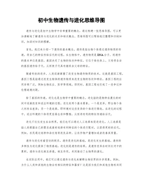 初中生物遗传与进化思维导图