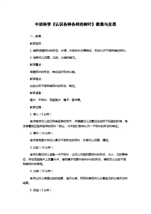 中班科学《认识各种各样的树叶》教案与反思