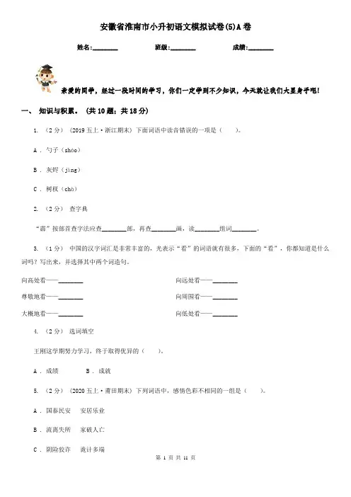 安徽省淮南市小升初语文模拟试卷(5)A卷