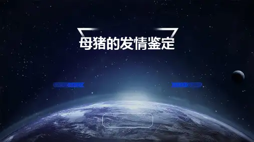母猪的发情鉴定