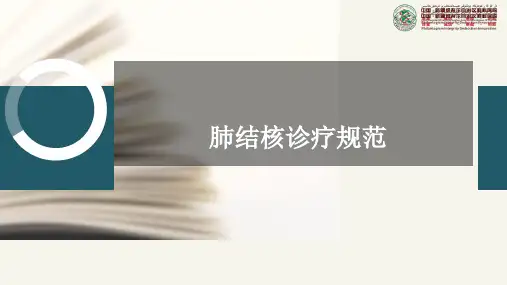 肺结核诊疗规范ppt课件