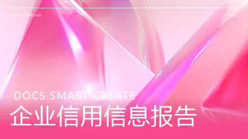 企业信用信息报告